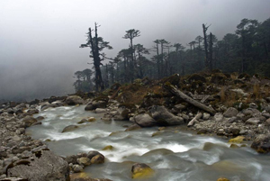 gangtok