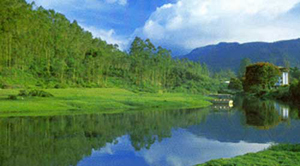Munnar, Kerala
