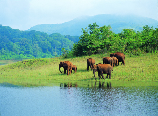 Tourist destination in East India