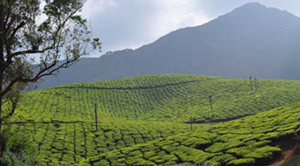 Tourist destination in West India