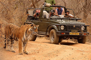 Tourist destination in South India